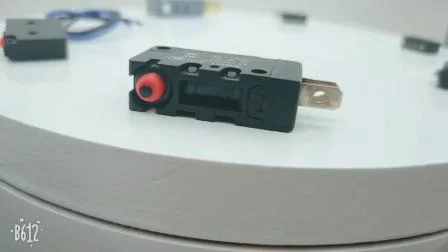 Interrupteur d'alimentation électrique étanche IP67 Micro-interrupteur à bouton-poussoir Micro-interrupteur à action instantanée pour pièces automobiles